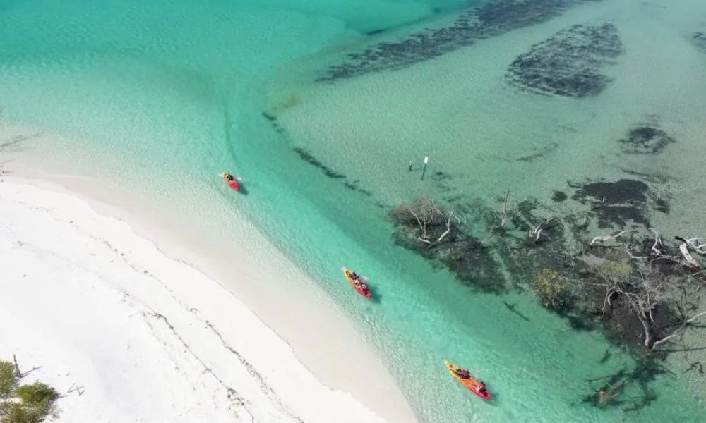 Remote Fraser Island (K'gari) Tour with Whale Watching - Hervey Bay