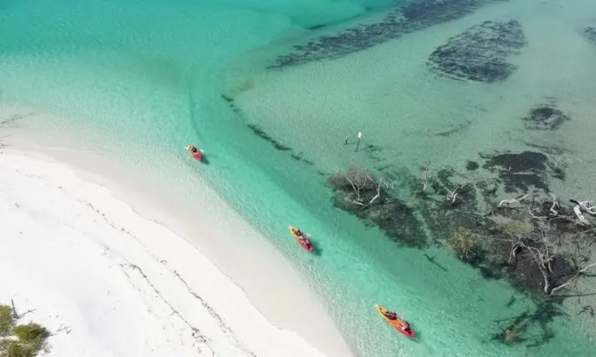 Remote Fraser Island (K'gari) Tour with Whale Watching - Hervey Bay