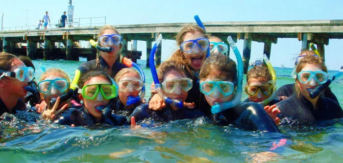 Weedy Sea Dragon Snorkelling Tour Mornington Peninsula | Experience Oz