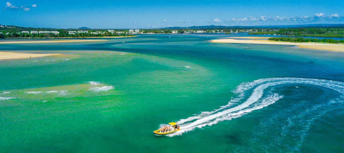 Noosa Dolphin Safari - Book Now | Experience Oz-2