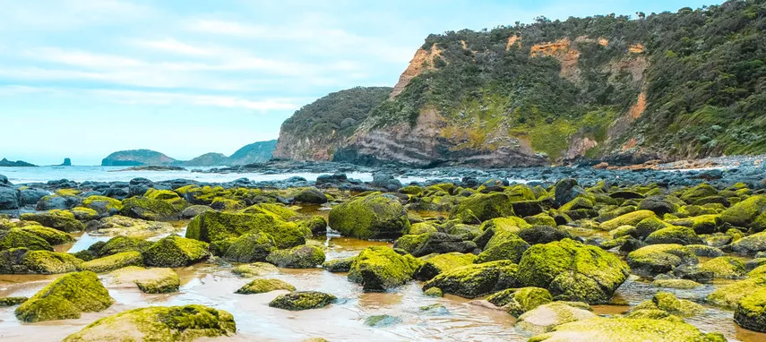 Mornington Peninsula & Hot Springs Day Tour | Experience Oz