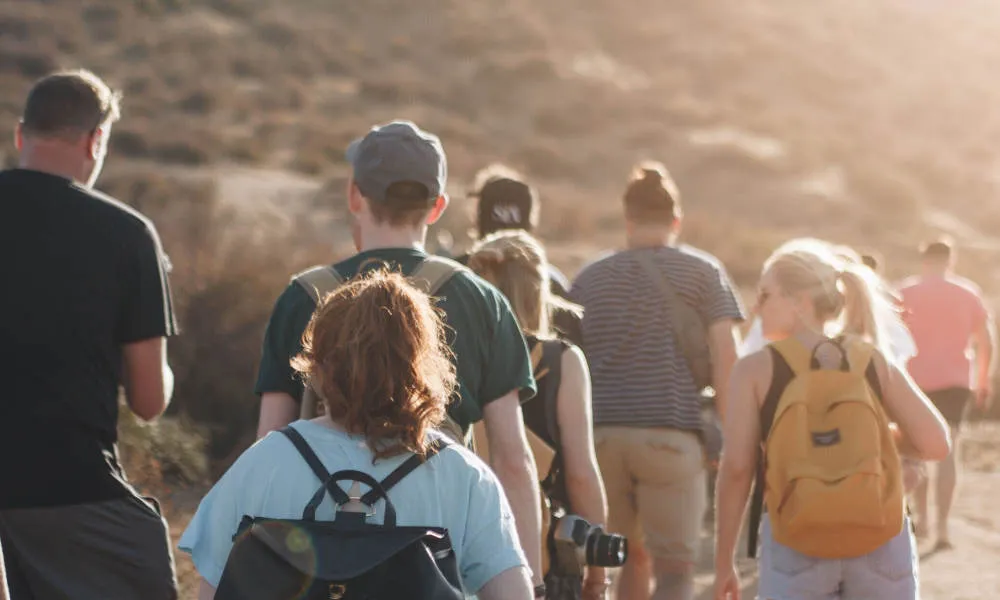 Great Ocean Road & Otways Day Tour - Book Now | Experience Oz-4