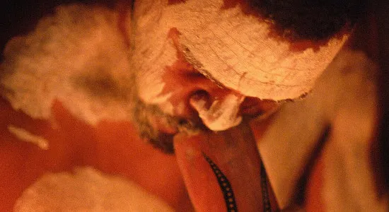 Cairns Flames of the Forest Aboriginal Experience | Experience Oz
