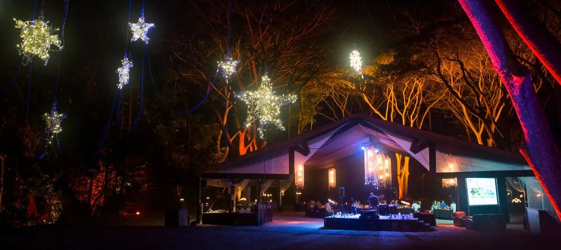 Cairns Flames of the Forest Aboriginal Experience | Experience Oz-1