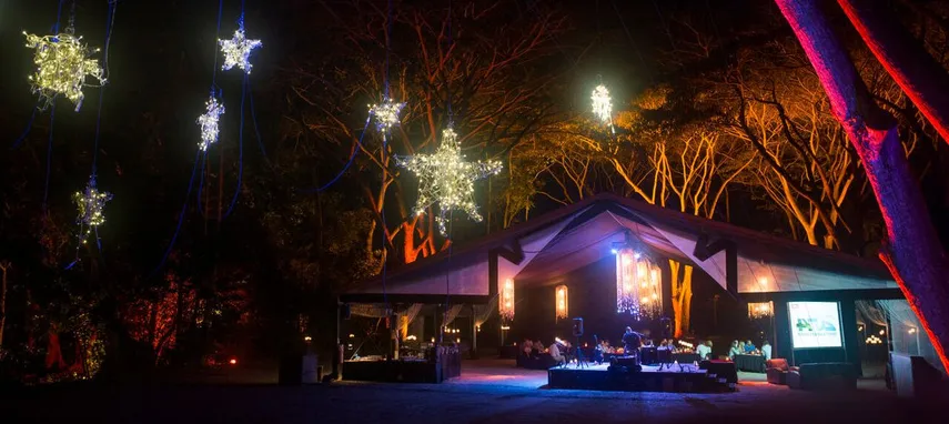 Cairns Flames of the Forest Aboriginal Experience | Experience Oz
