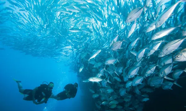 Canning Vale Discover Scuba Experience