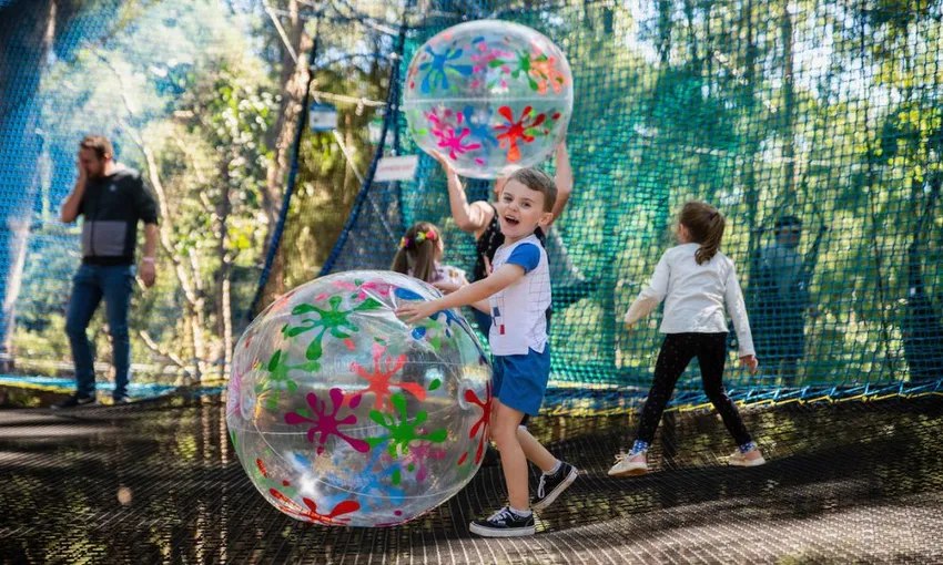 Central Coast Treetops Networld Adventure, 2 Hours 