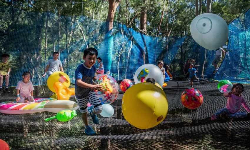 Central Coast Treetops Networld Adventure, 2 Hours 