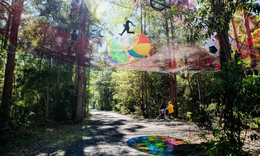 Central Coast Treetops Networld Adventure, 2 Hours 