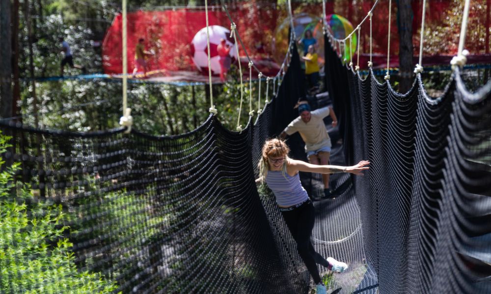 Central Coast Treetops Networld Adventure, 2 Hours 