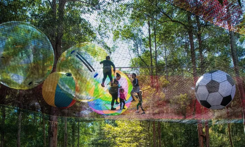 Central Coast Treetops Networld Adventure, 2 Hours 