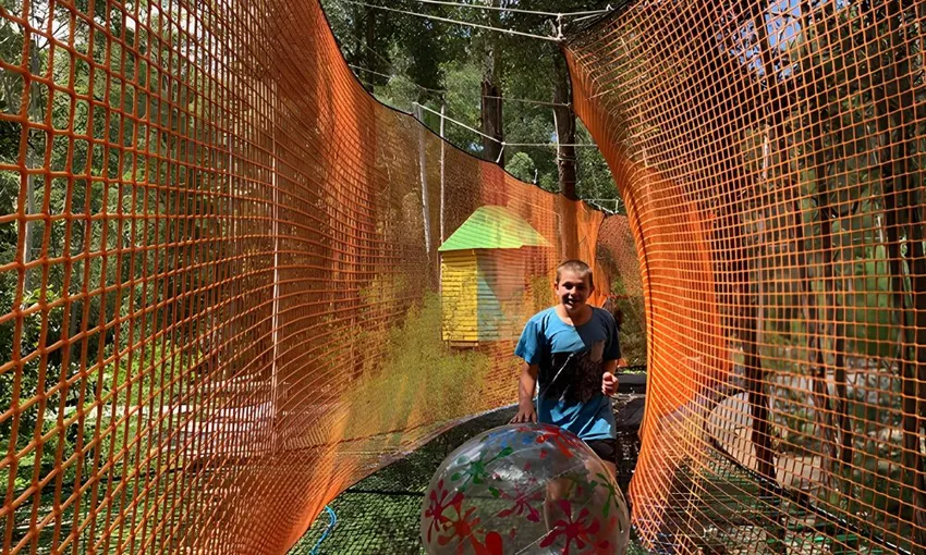 Central Coast Treetops Networld Adventure, 2 Hours 