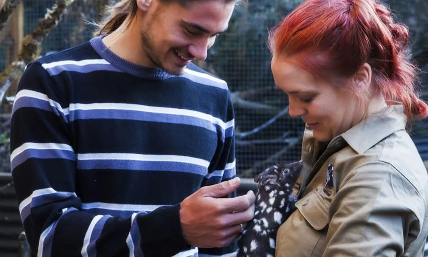 Devils Cradle Mountain Day Entry and Joey Encounter