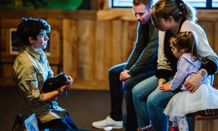 Devils Cradle Mountain Day Entry and Joey Encounter