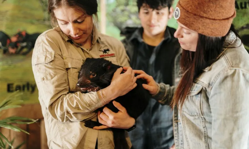 Devils Cradle Mountain Day Entry and Joey Encounter