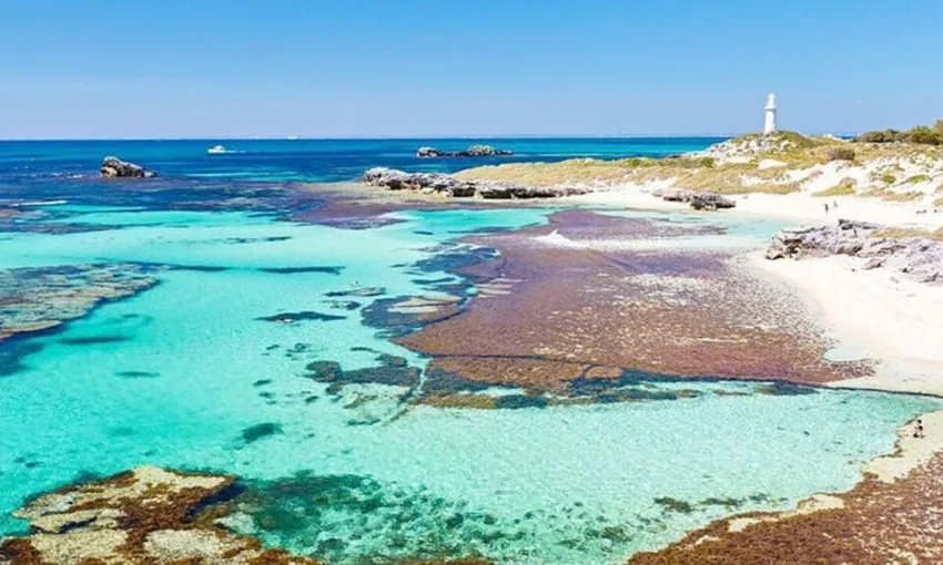 Rottnest Island Bayseeker Guided Tour from Fremantle