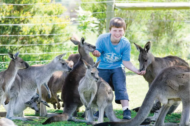 Maru Koala Park & Mini Golf Admission - Grantville, Melbourne