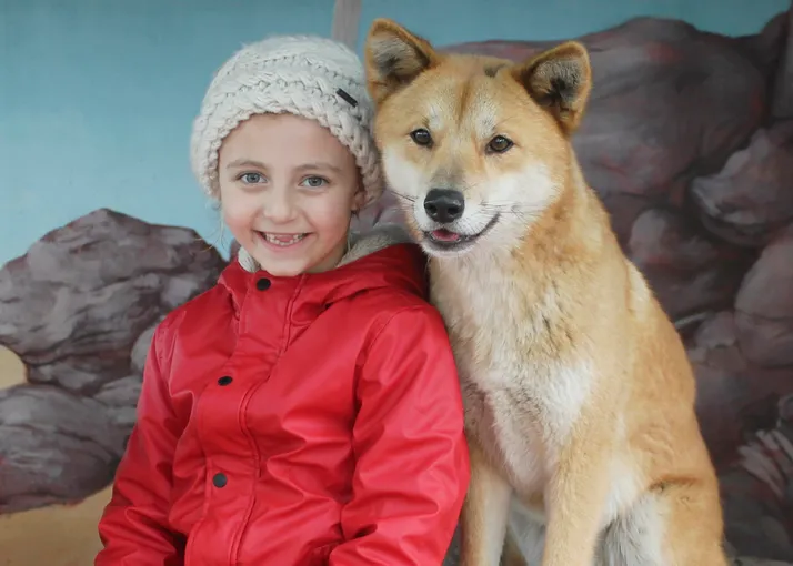 Maru Koala Park & Mini Golf Admission - Grantville, Melbourne