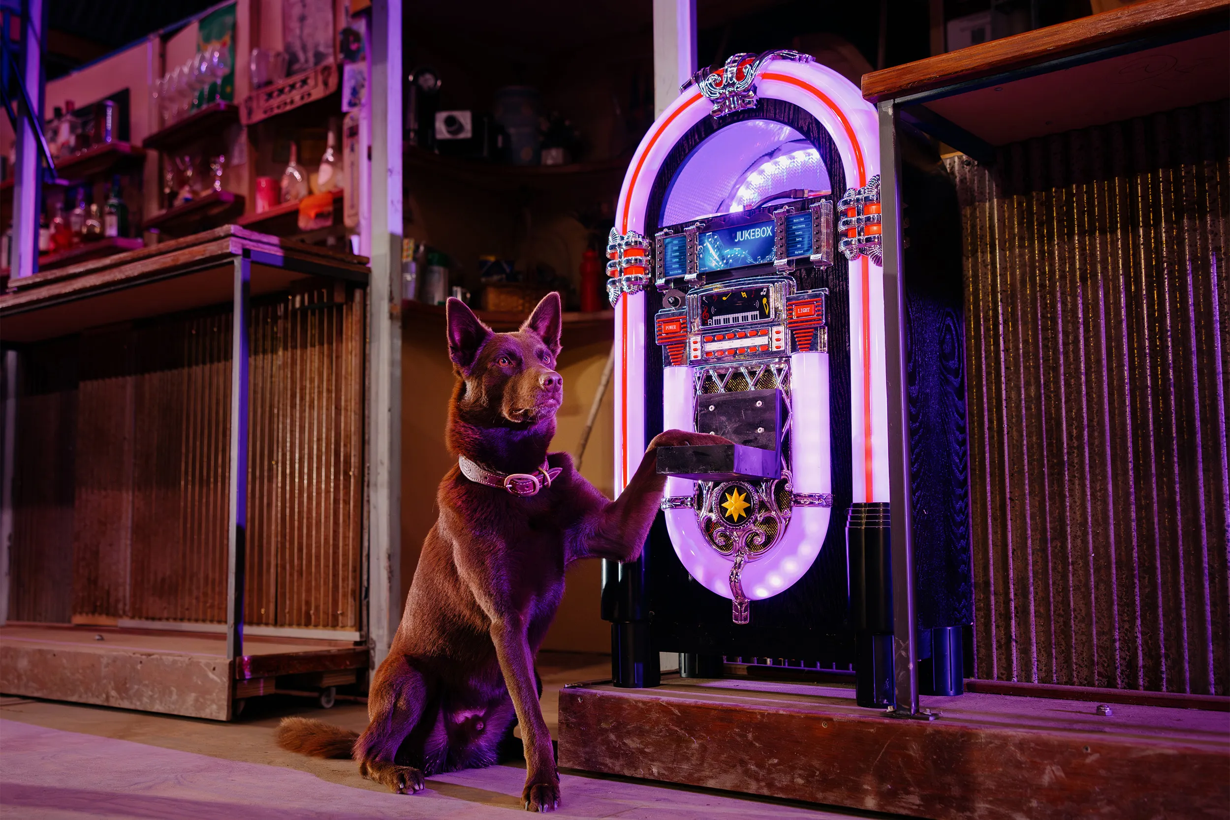 Australian Outback Spectacular - Book Now | Experience Oz-4