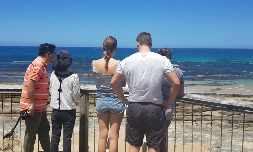 Great Ocean Road and 12 Apostles Bus Tour, Departs  Melbourne