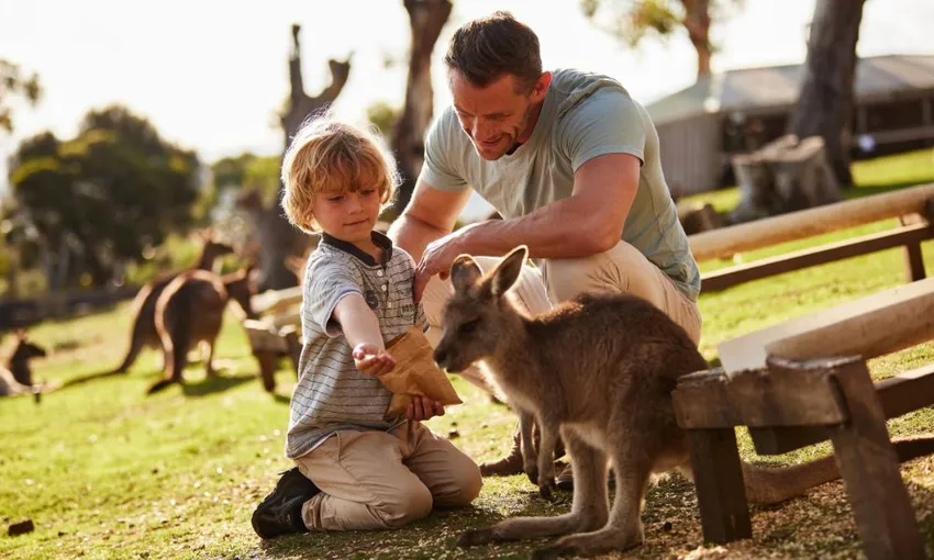 Bonorong Wildlife Sanctuary Daytime Feeding Tour