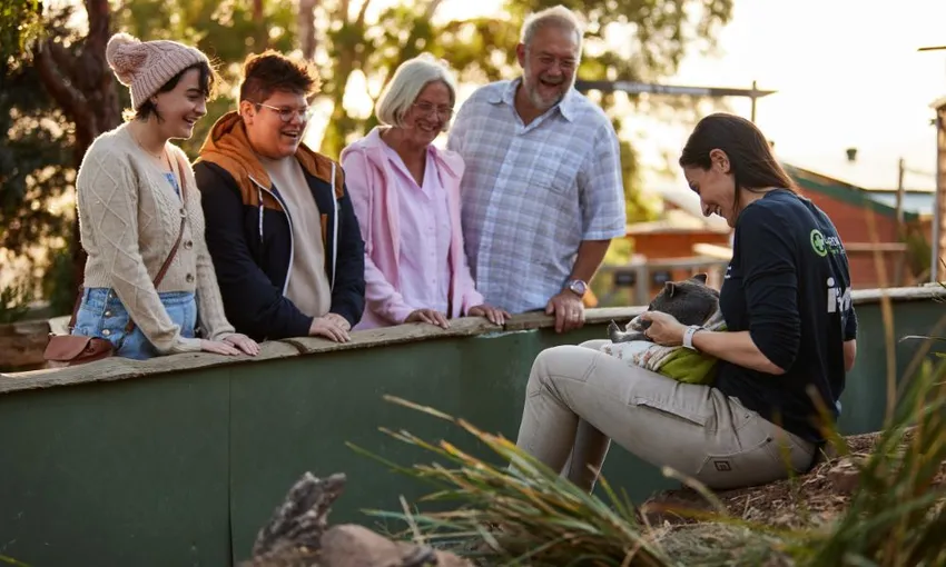Bonorong Wildlife Sanctuary Daytime Feeding Tour