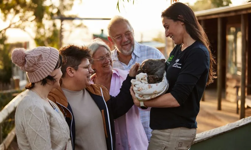Bonorong Wildlife Sanctuary Daytime Feeding Tour