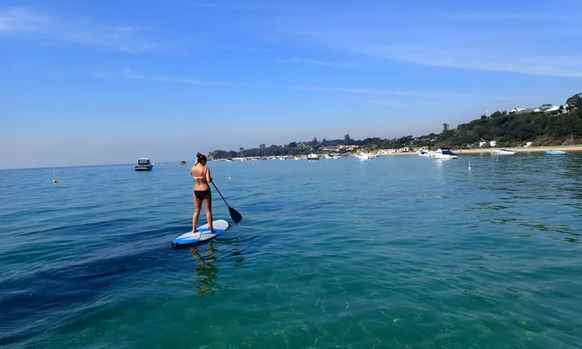 Mornington Peninsula Stand Up Paddle Board Hire, 2 Hours