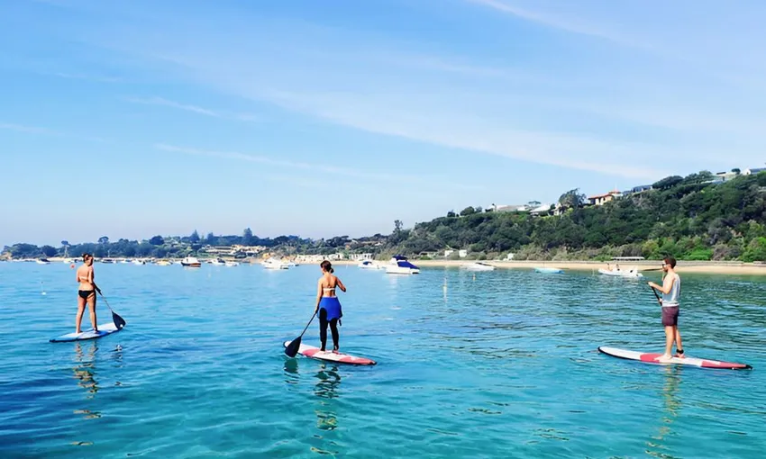 Mornington Peninsula Stand Up Paddle Board Hire, 2 Hours