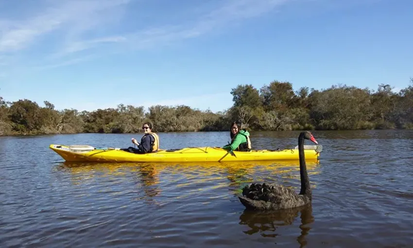 Perth Double Kayak Hire - For 2