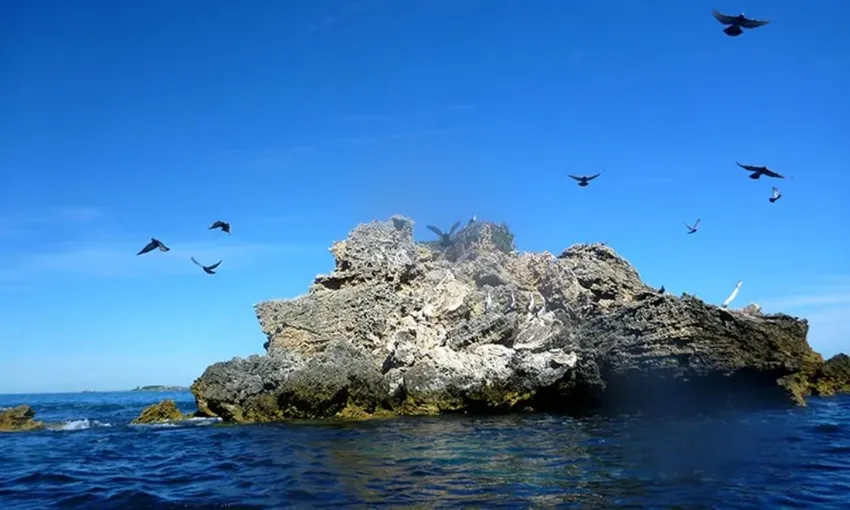 Perth Double Kayak Hire - For 2