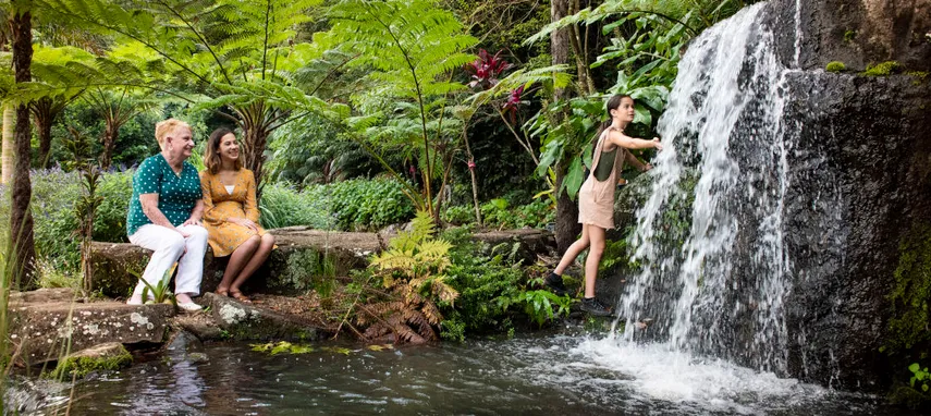 Maleny Botanic Gardens Entry & Aviary Tour | Experience Oz