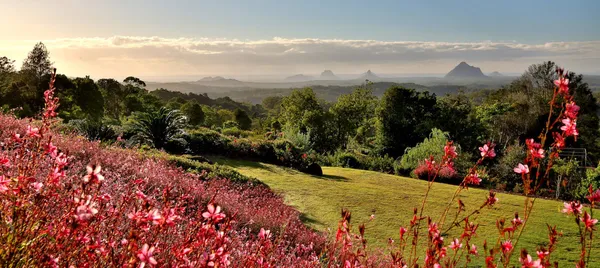 Maleny Botanic Gardens Aviary Tour