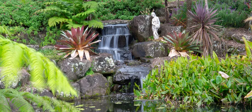 Maleny Botanic Gardens Entry & Aviary Tour | Experience Oz