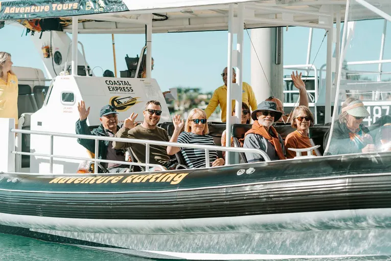 Sunshine Coast Whale Watching Cruise - 2 Hours