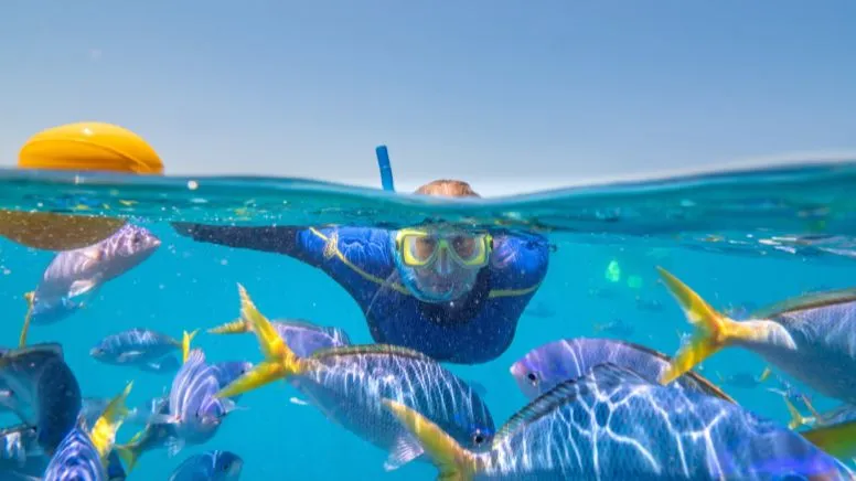 Great Barrier Reef Cruise with Snorkeling, Full Day - Whitsundays