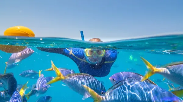 Great Barrier Reef Cruise with Snorkeling, Full Day - Whitsundays