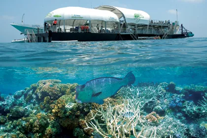 Great Barrier Reef Cruise with Snorkeling, Full Day - Whitsundays
