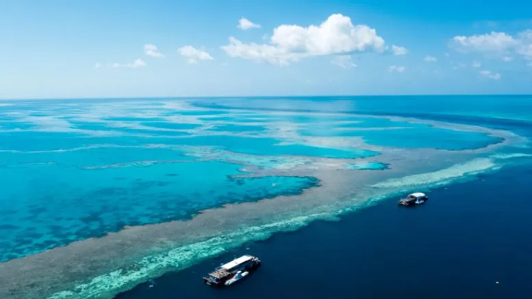 Great Barrier Reef Cruise with Snorkeling, Full Day - Whitsundays
