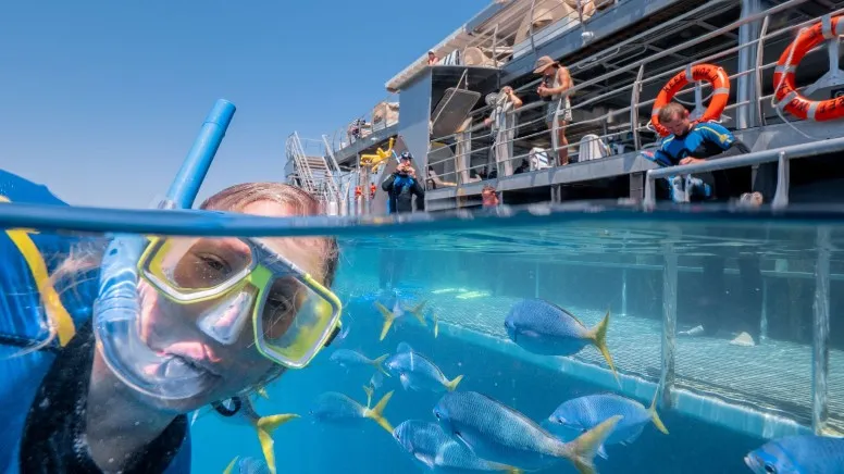 Great Barrier Reef Cruise with Snorkeling, Full Day - Whitsundays