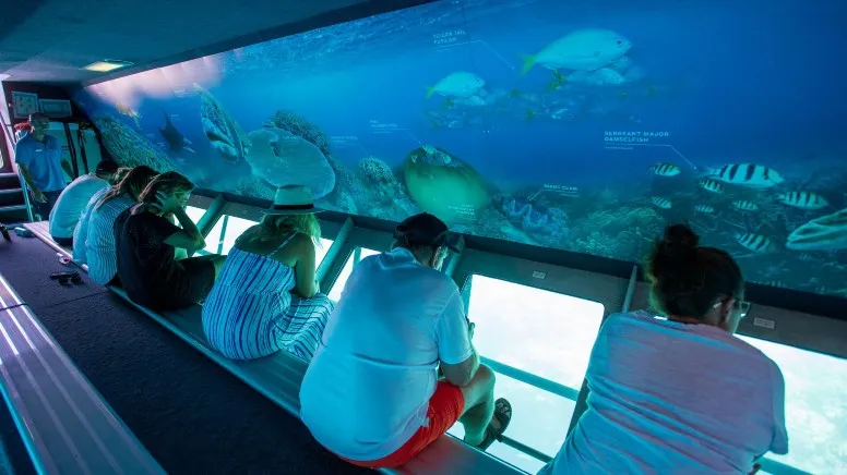 Great Barrier Reef Cruise with Snorkeling, Full Day - Whitsundays