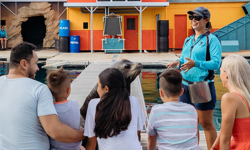 Sea World Seal Encounter - Book Now | Experience Oz