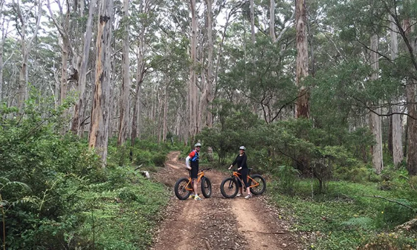 Margaret River Coasteering Tour with Snorkelling, 6 Hours 