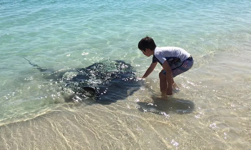 Margaret River Coasteering Tour with Snorkelling, 6 Hours 