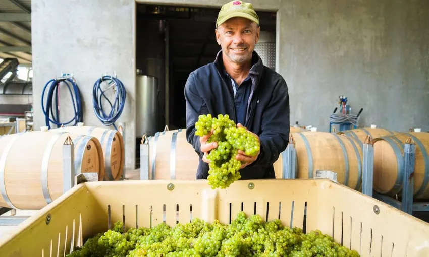 Canoe and Winery Experience, 5 Hours