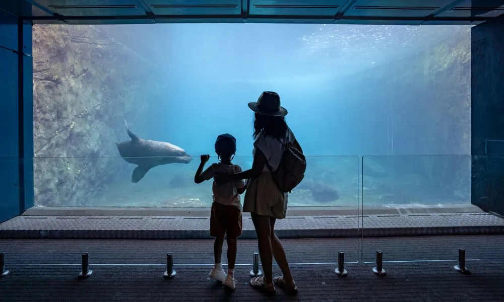 Taronga Zoo Tickets Sydney - Buy Online Cheap | Experience Oz-4