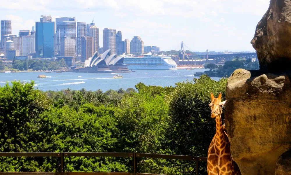 Taronga Zoo Tickets Sydney - Buy Online Cheap | Experience Oz-6