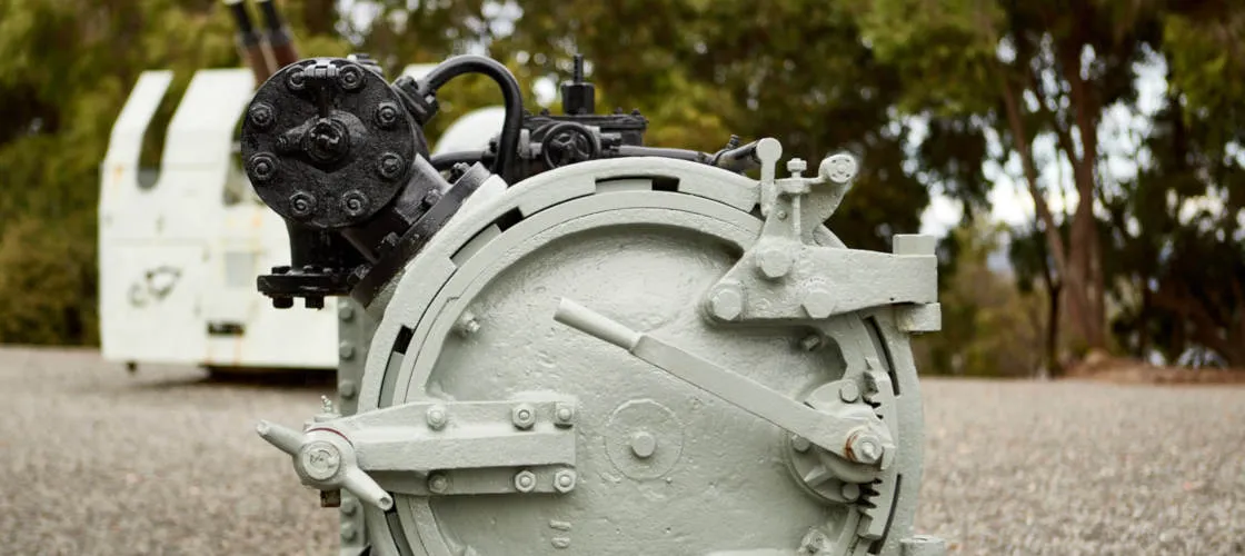 Albany's Whaling History Tour - Book Now | Experience Oz-3