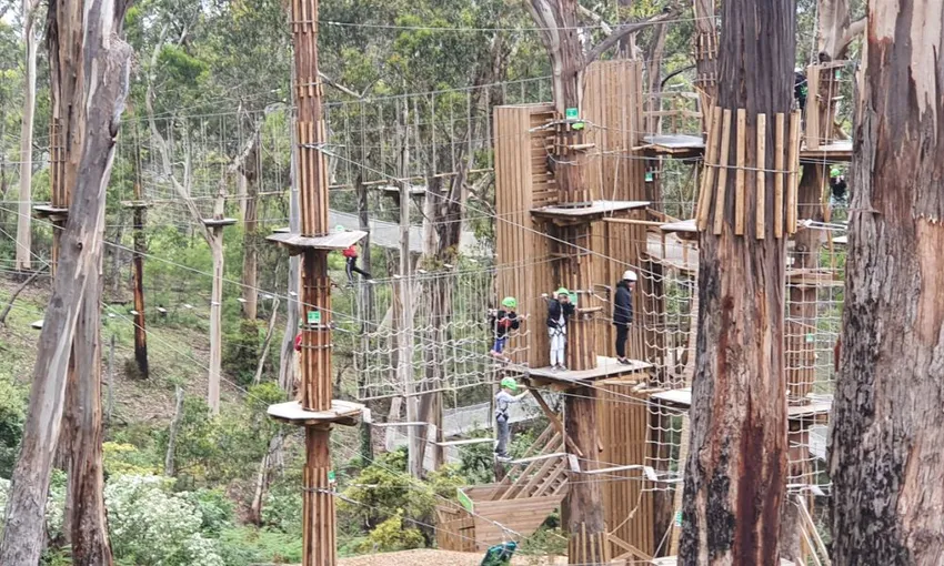 Great Ocean Road and Lorne Livewire Park Tour - Departs Melbourne