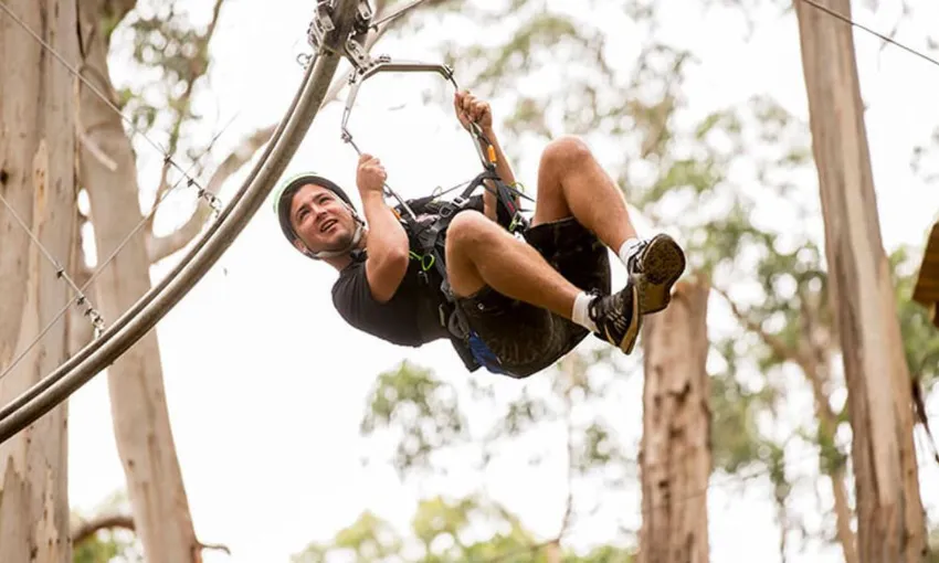 Great Ocean Road and Lorne Livewire Park Tour - Departs Melbourne